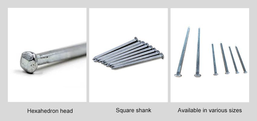electro galvanized square boat nails types