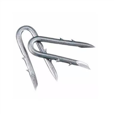 مسامير على شكل سياج شائك