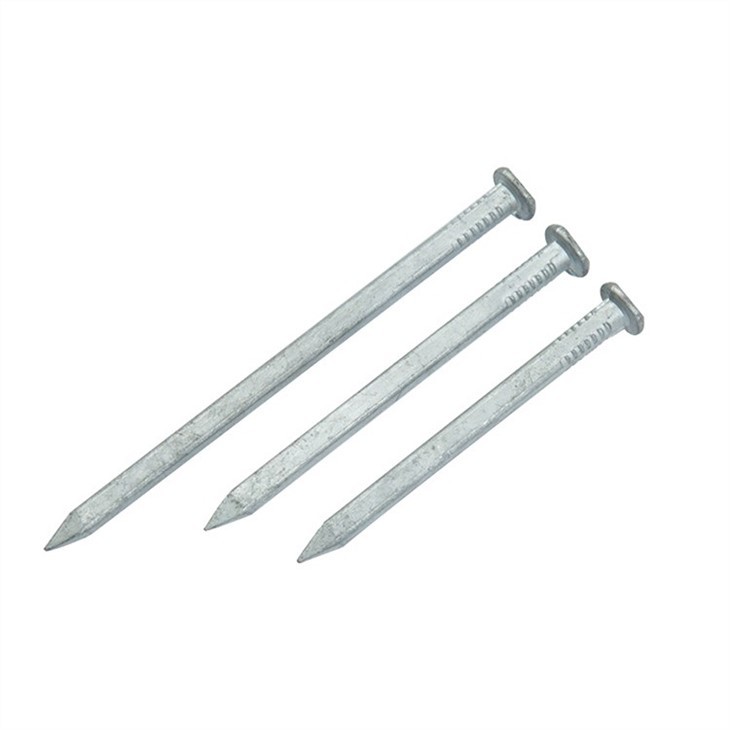 Galvanized Square Boat Nail