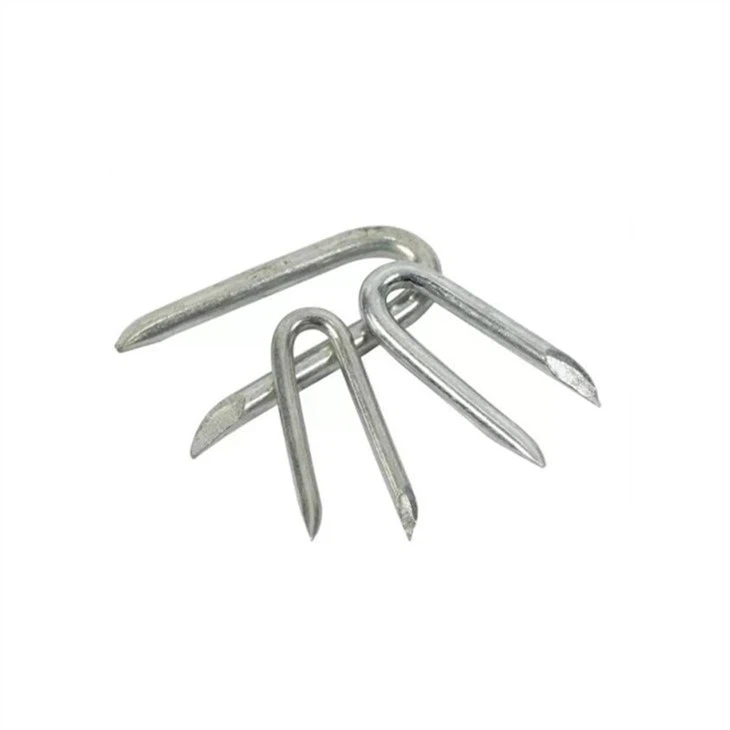 Stainless Steel Construction Staples